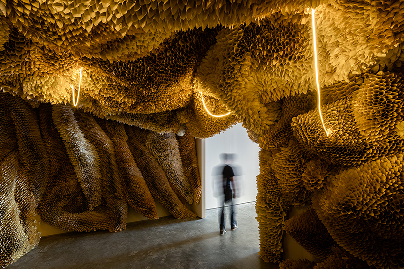 samuelle green uses paper and chicken wire to intricately weave an otherworldly cove