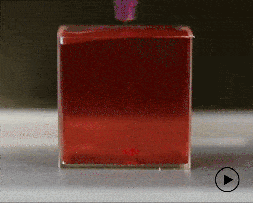 scientists make world's first 3D printed heart using human cells