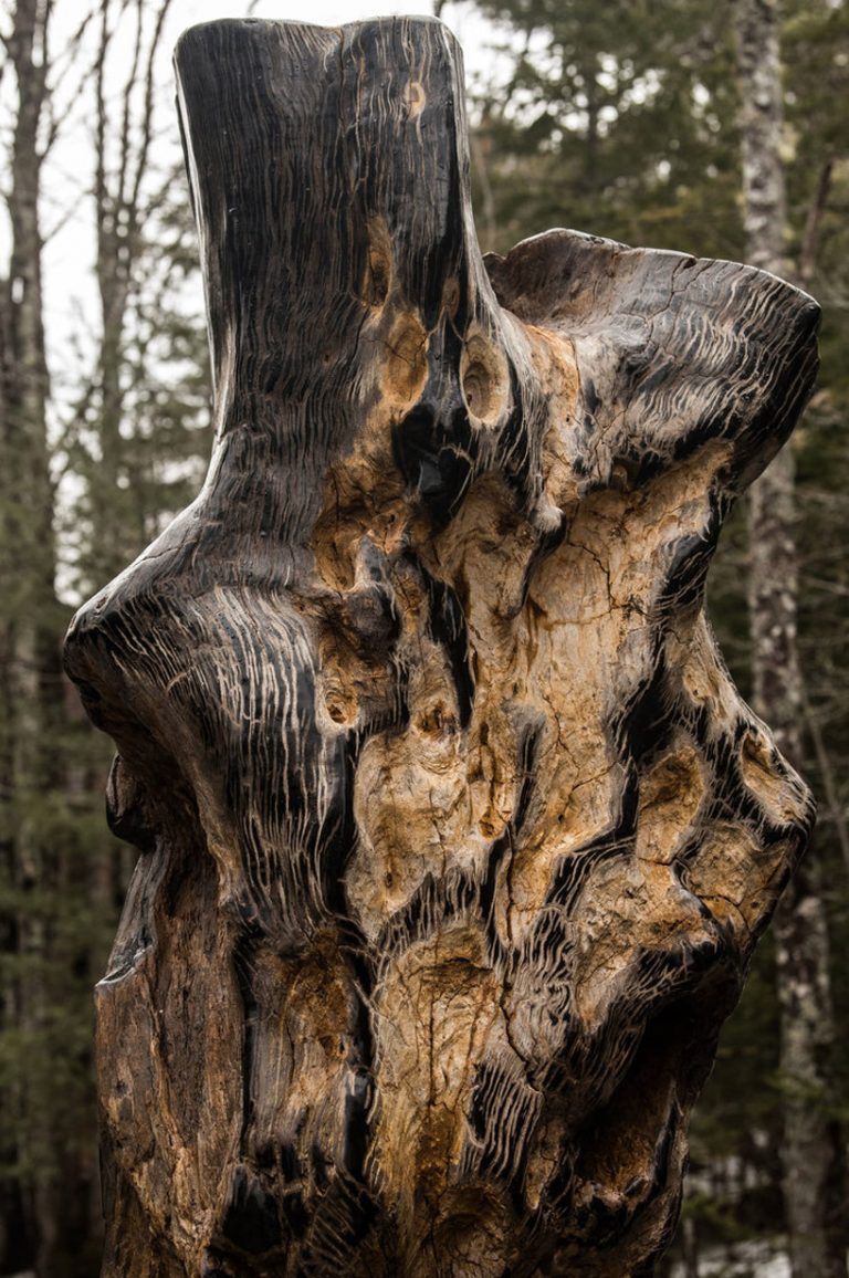 'ascendance' is a petrified wood fireplace designed by metaplace industries