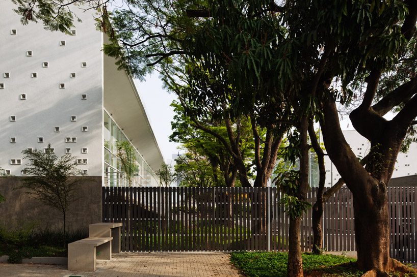 carolina penna architects designs a training center around existing trees in brazil