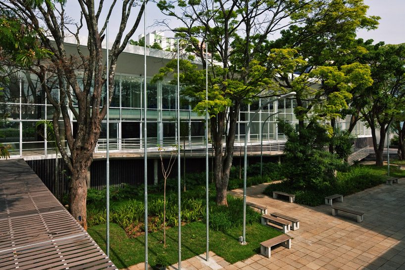 carolina penna architects designs a training center around existing trees in brazil