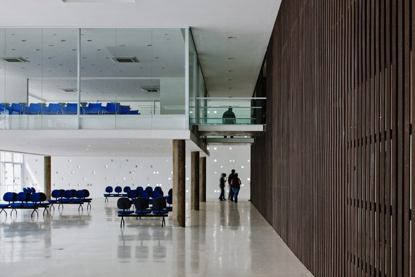 carolina penna architects designs a training center around existing trees in brazil