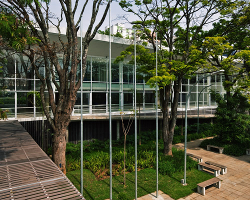 carolina penna architects designs a training center around existing trees in brazil