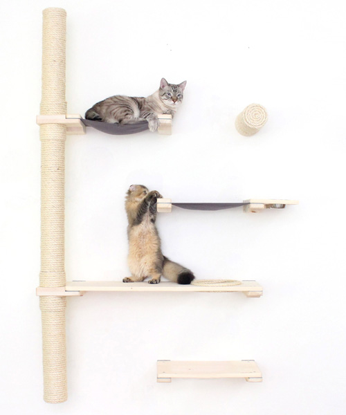 minimalist modular systems transform walls into cat playgrounds