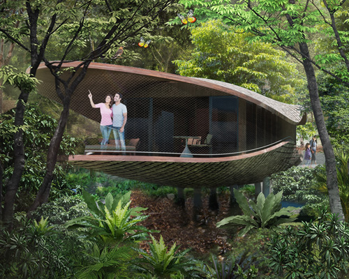 WOW architects designs 24 seedpod-shaped treehouses for eco-resort in singapore