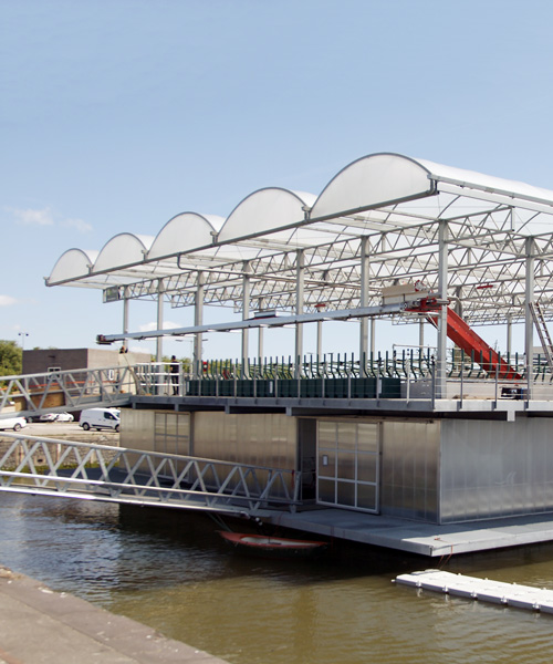 world’s first floating farm welcomes cows in rotterdam