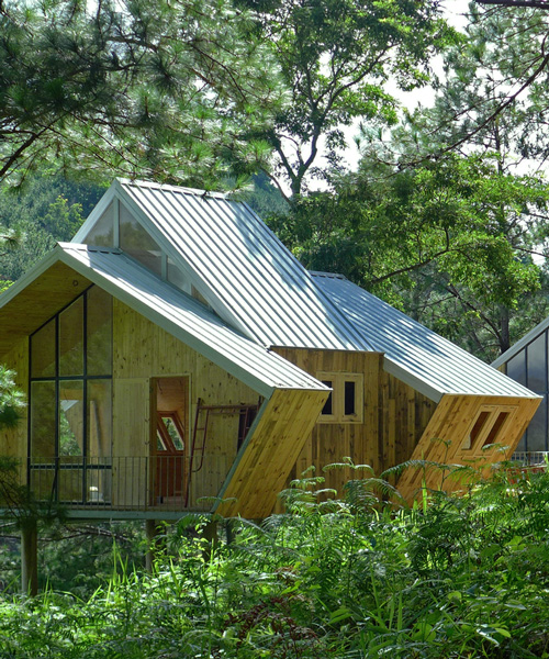 geometric pine cabins house environmentally sensitive workspaces in vietnam