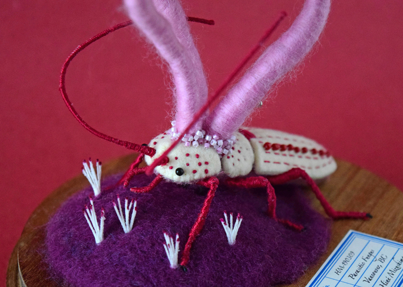 cute creatures get embroidered and felted into precarious situations with carnivorous fungi