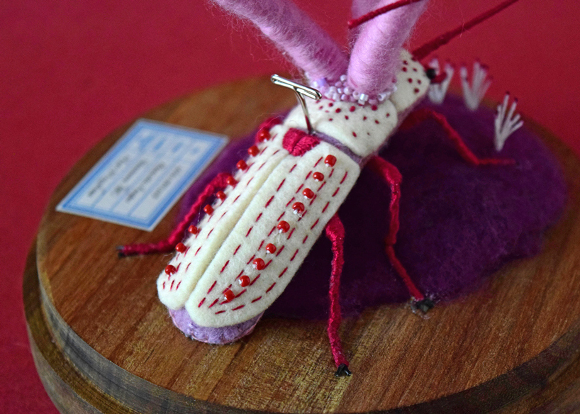 cute creatures get embroidered and felted into precarious situations with carnivorous fungi