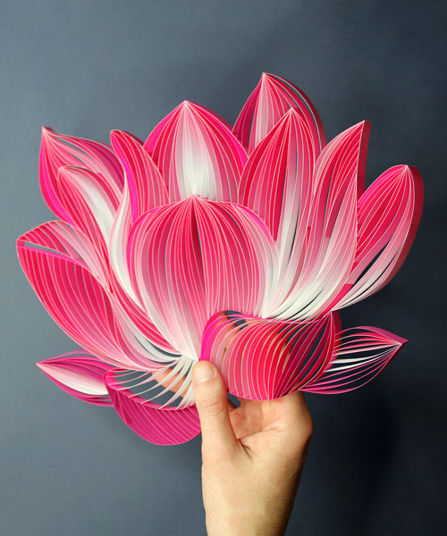 JUDiTH + ROLFE's paper quilled floral artworks capture the diversity in nature