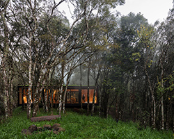 MAPA drops minimal dwelling within lush brazilian forest