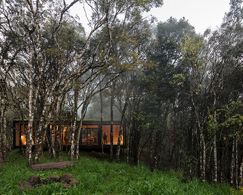 MAPA drops minimal dwelling within lush brazilian forest