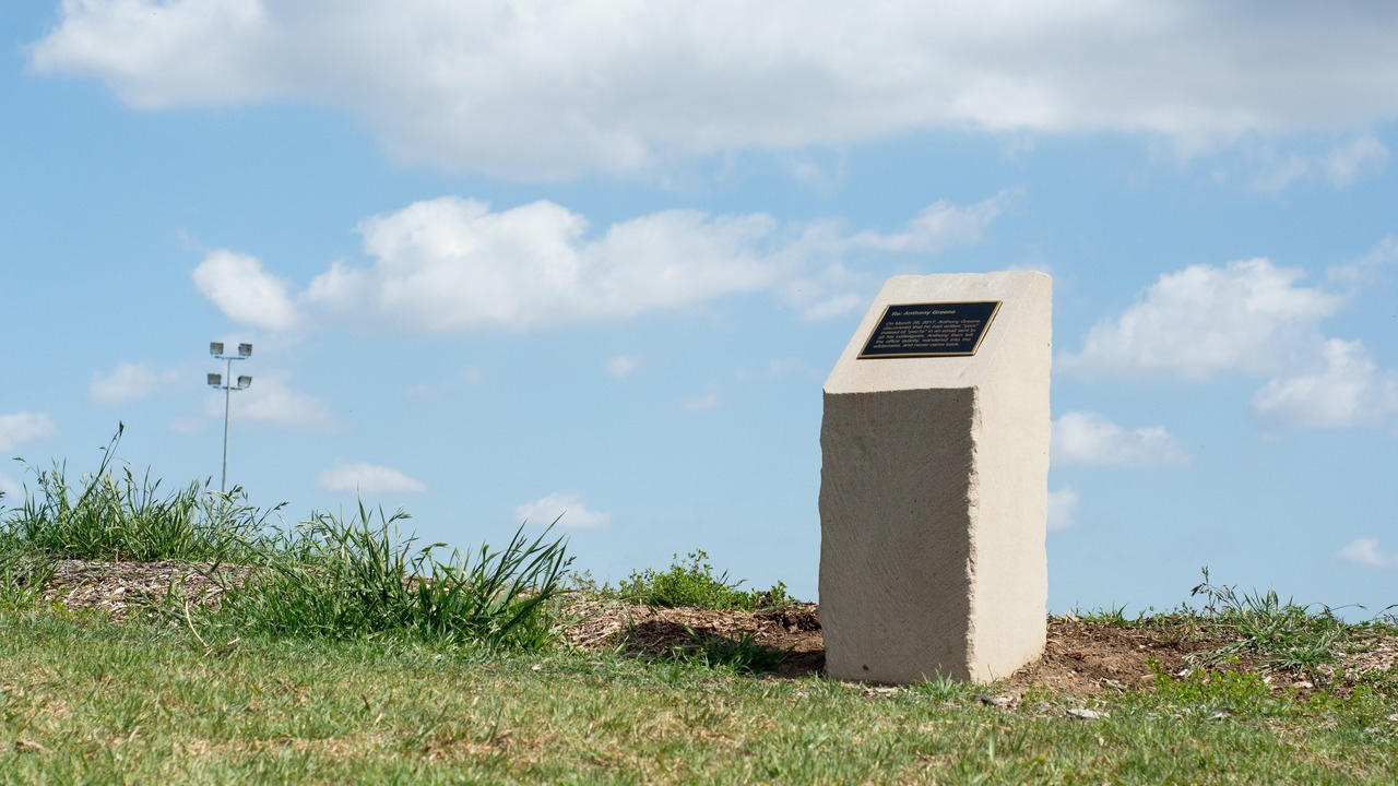 miguel marquez sets up VIP pigeon lounges and hangs surreal imessages over sewer tunnels