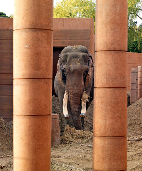 natascha meuser explores zoo buildings in DOM's latest construction and design manual