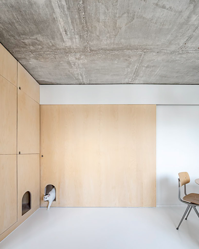 SABO carves a cat door into duplex apartment renovation in paris designboom