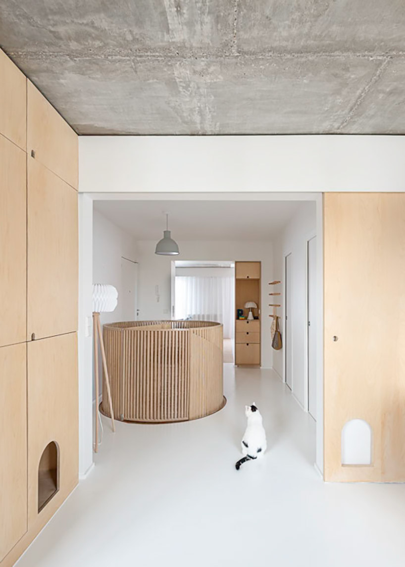 SABO carves a cat door into duplex apartment renovation in paris designboom