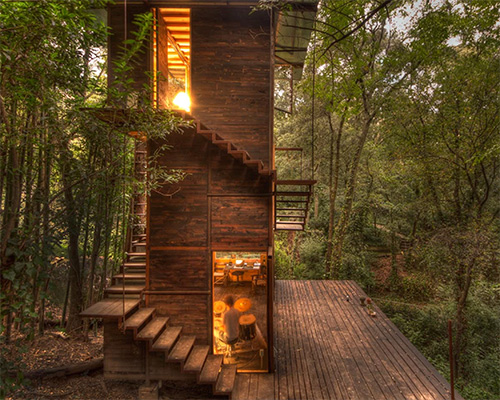 suspended treehouse by talleresque illuminates the surrounding forest in mexico
