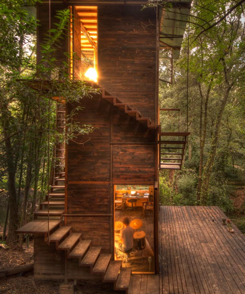 suspended treehouse by talleresque illuminates the surrounding forest in mexico