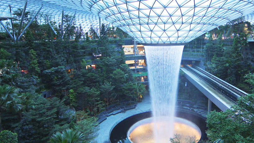 teamLab resonating forest jewel changi airport