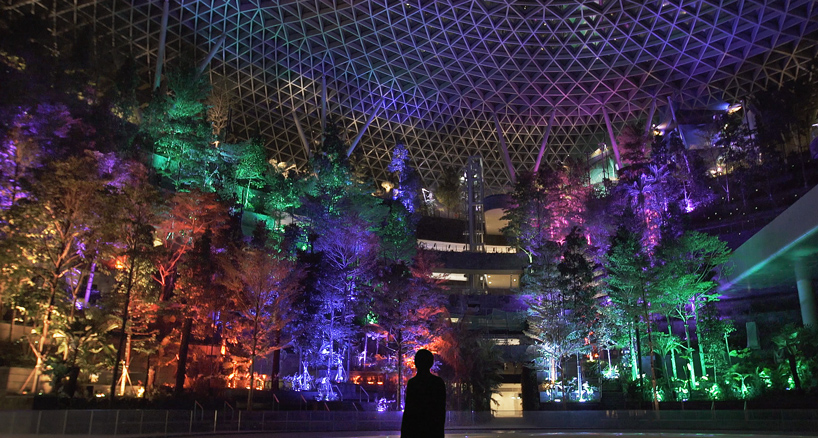 teamLab resonating forest jewel changi airport