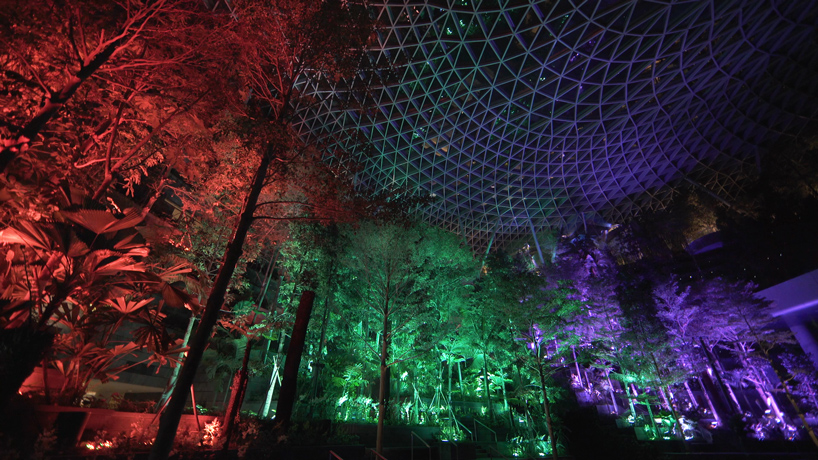 teamLab resonating forest jewel changi airport