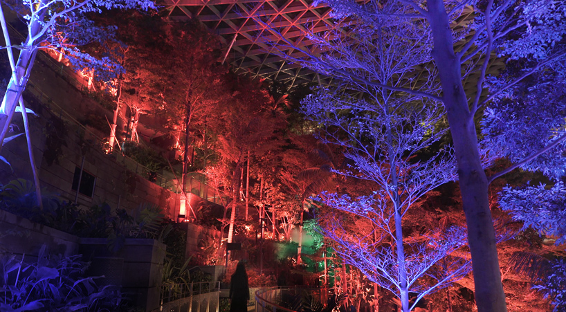 teamLab resonating forest jewel changi airport
