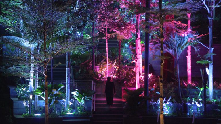 teamLab transforms jewel changi airport into a luminous forest of trees