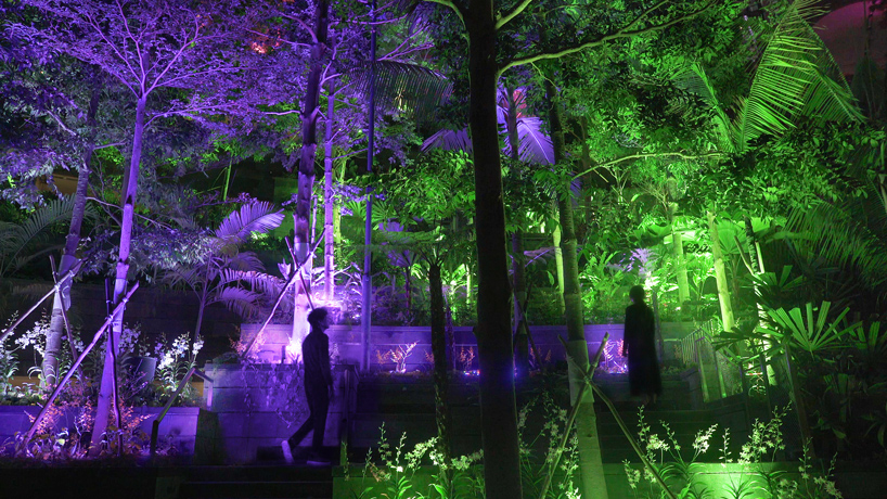 teamLab resonating forest jewel changi airport