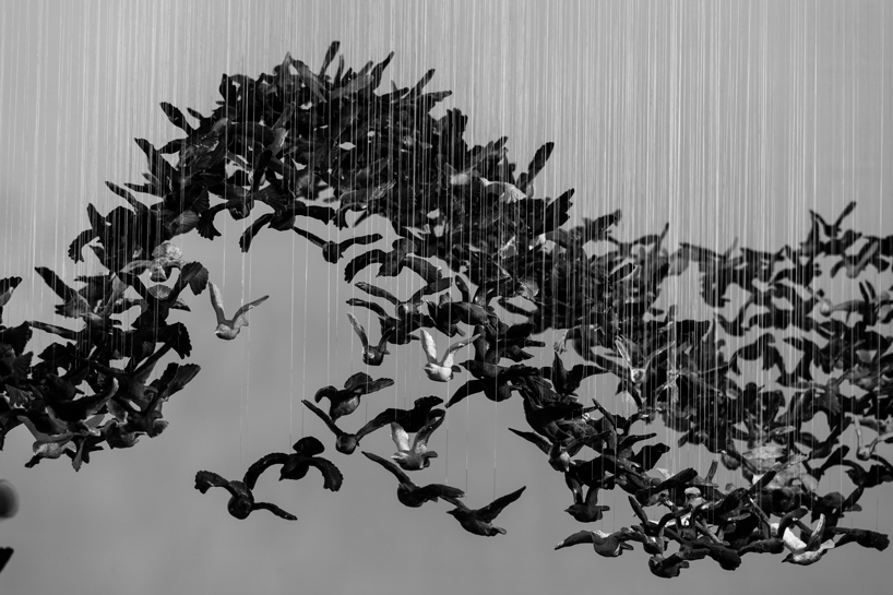 cai guo-qiang suspends 10,000 porcelain starlings over terracotta warriors in melbourne