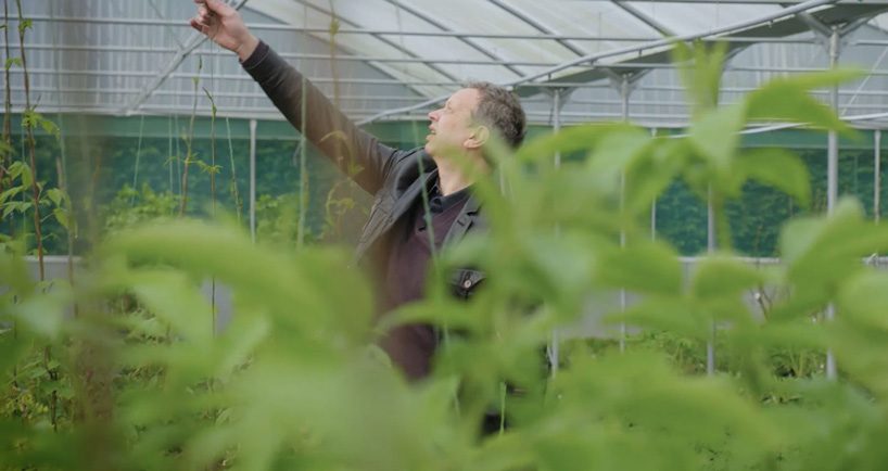 tom dixon + IKEA's experimental garden for urban farming opens during chelsea flower show