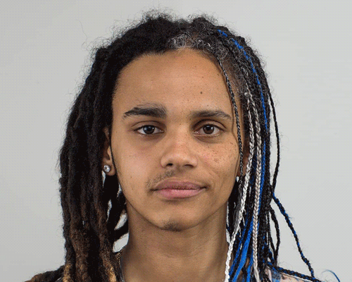 digitally stitched 'genetic portraits' show striking family resemblances side-by-side