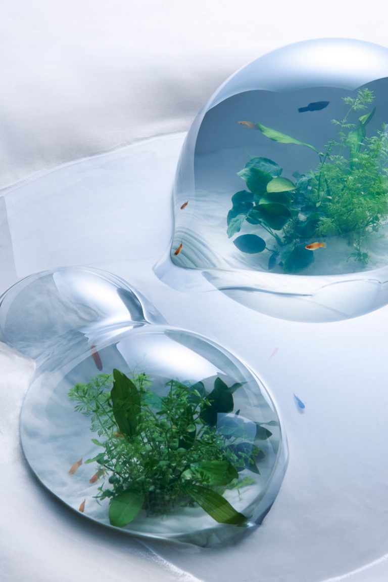 haruka misawa undulates glass to create delicate aquariums in ‘waterscapes’