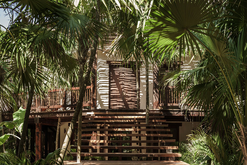 tulum treehouse CO-LAB