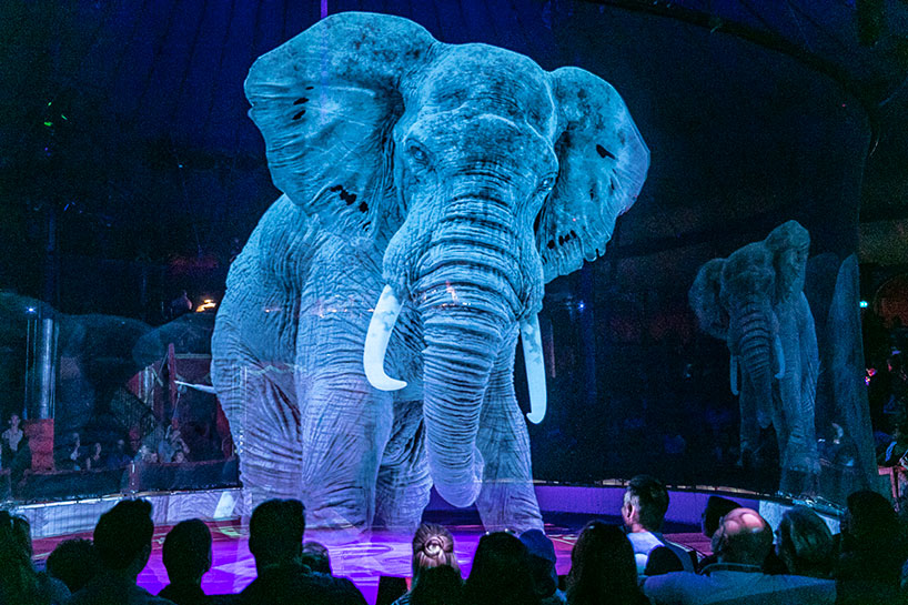could this animal-free holographic experience be the circus of the future?