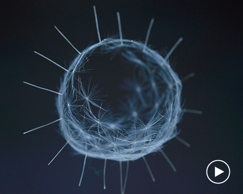 artist euglena creates extremely delicate sculptures using dandelion seeds