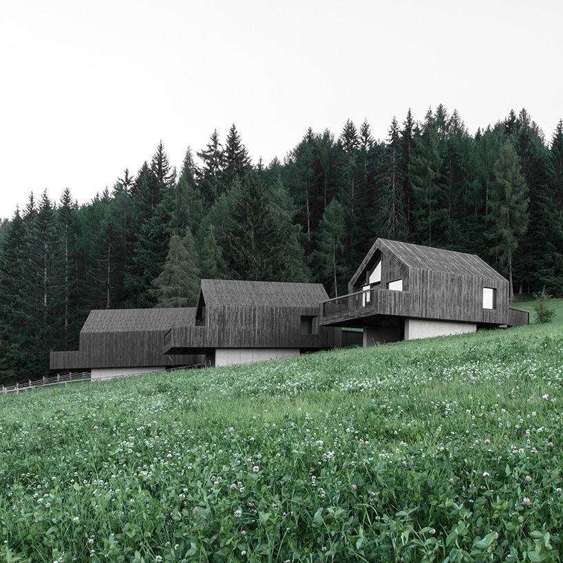 bergmeisterwolf elevates three 'forest houses' at the foot of an italian woodland