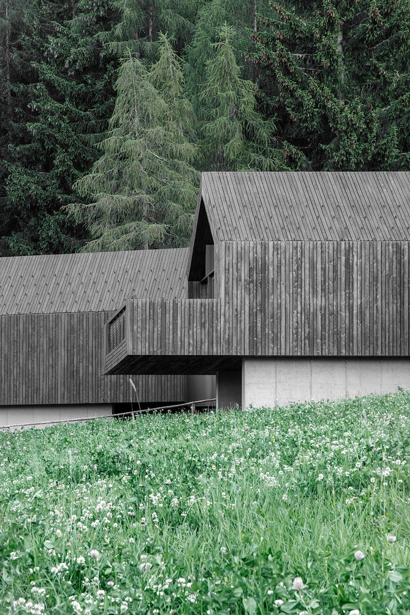 bergmeisterwolf elevates three 'forest houses' at the foot of an italian woodland
