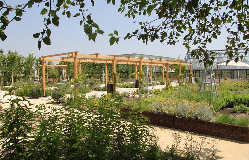 davines unveils scientific garden designed by tommaso del buono for research and wellbeing designboom