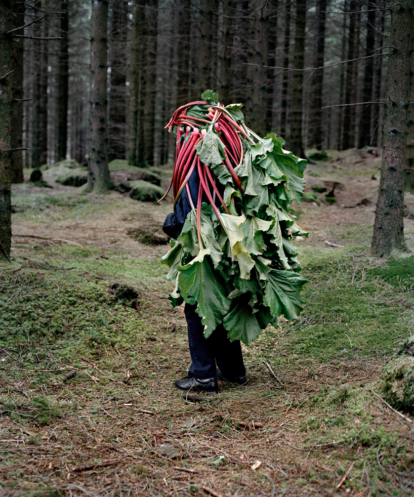 'eyes as big as platesâ photoseries turns elderly into mythical creatures absorbed by nature designboom