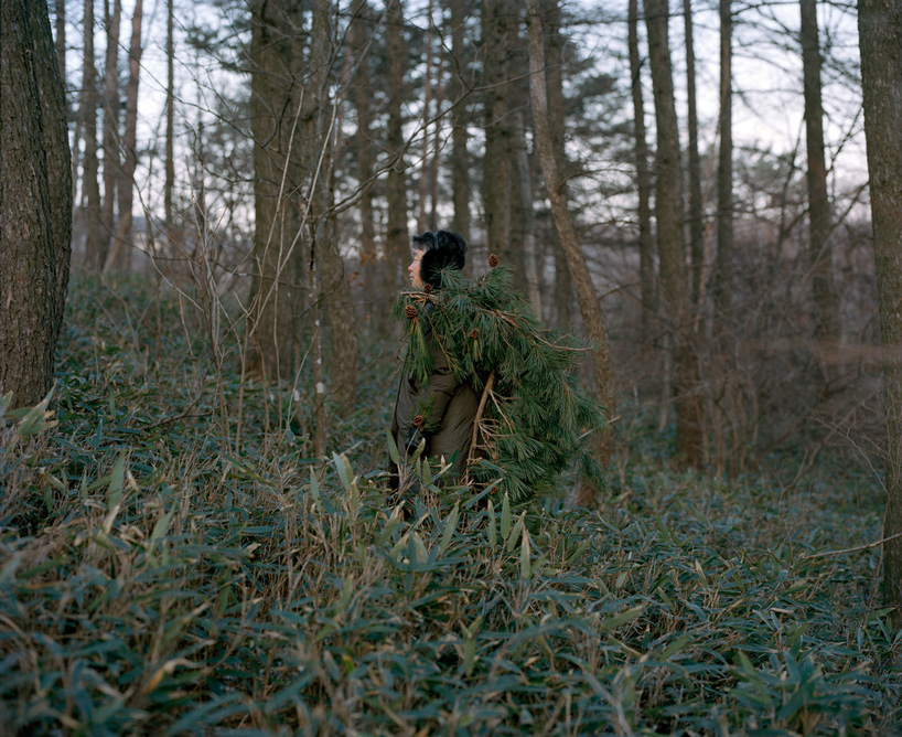 'eyes as big as platesâ photoseries turns elderly into mythical creatures absorbed by nature designboom