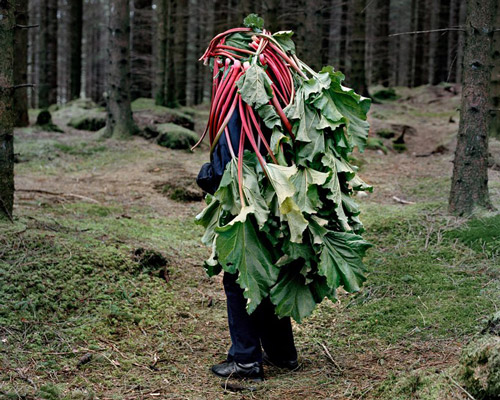 'eyes as big as plates’ photoseries turns elderly into mythical creatures absorbed by nature