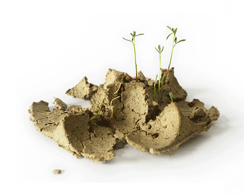 'biopack' by george bosnas is packaging made from seeds that grow when planted