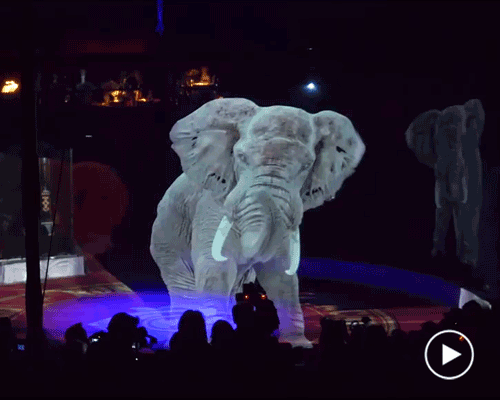 could this animal-free holographic experience be the circus of the future?