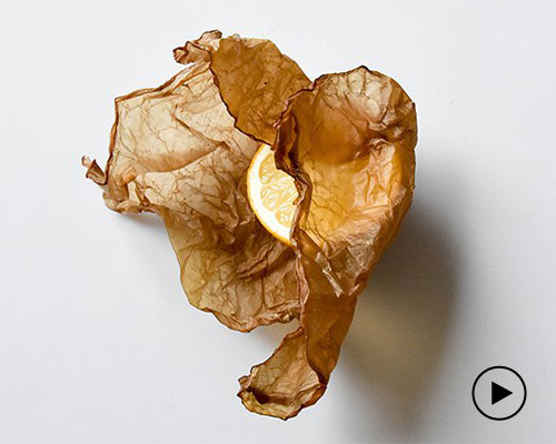 SCOBY packaging is grown from agricultural waste and composts just like vegetables