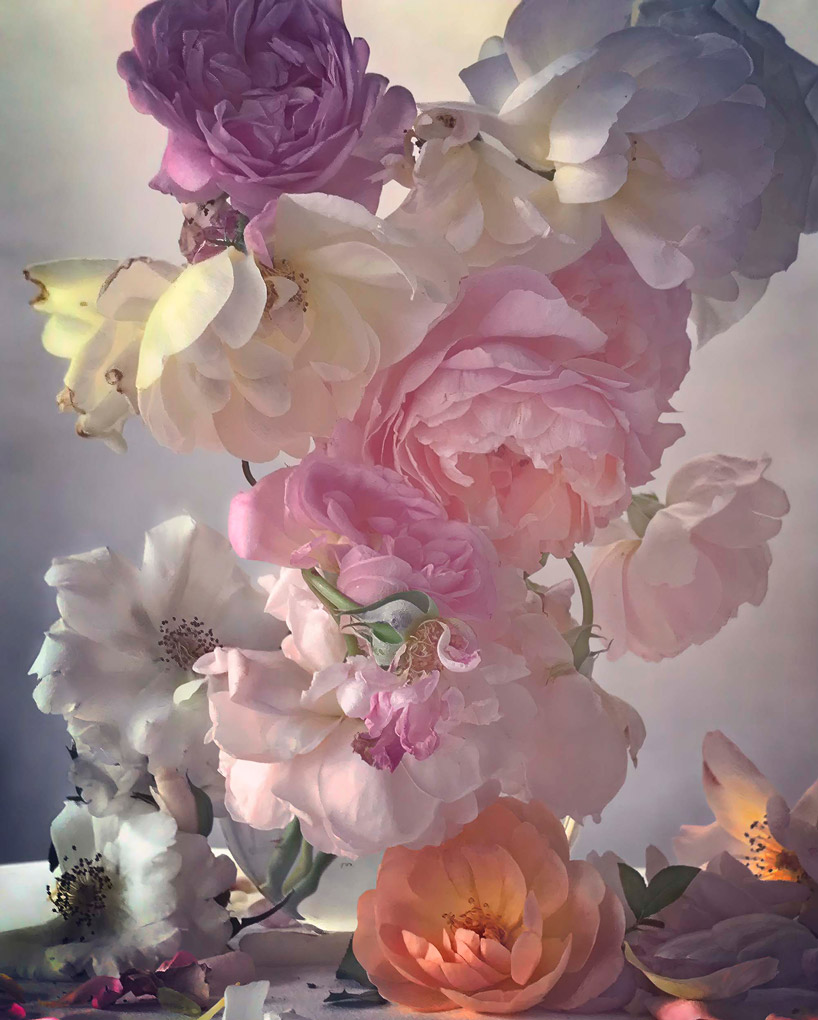 Image result for nick knight flowers