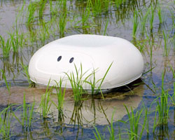 nissan builds robot duck to help rice farmers keep weeds out of their paddies