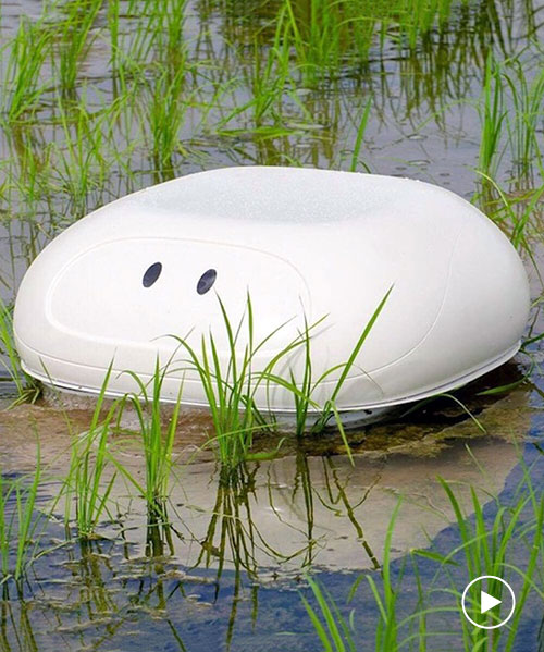 nissan builds robot duck to help rice farmers keep weeds out of their paddies
