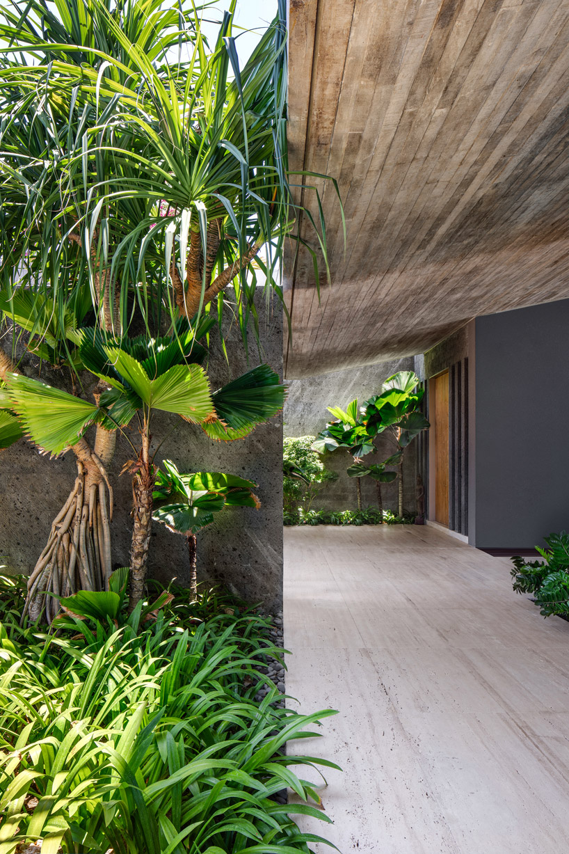 SAOTA blends indoor and outdoor space to form 'uluwatu house' in bali designboom