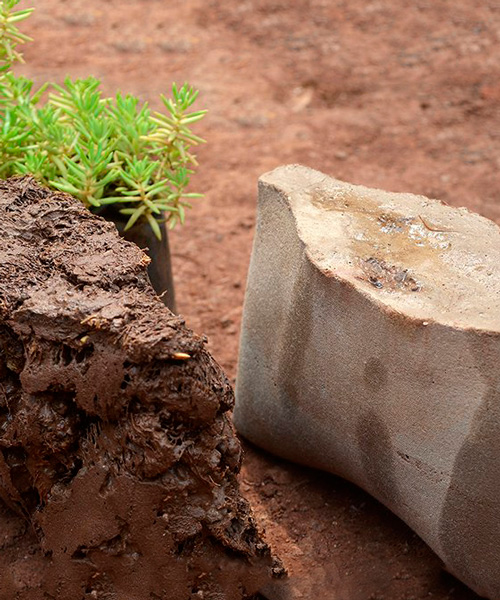 shreyas more develops biodegradable construction bricks made of charcoal and loofah