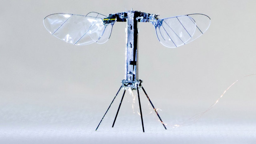 solar insect robot project